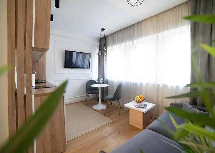 Deluxe Festival Centar With Free Parking * サラエヴォ